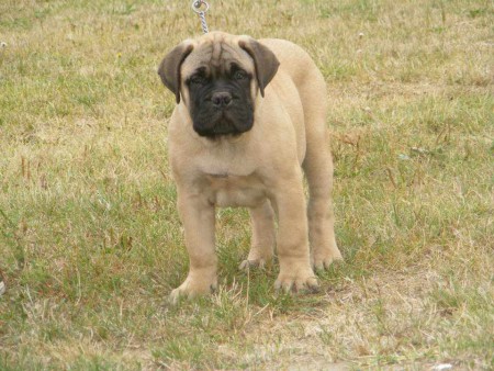 13 hetes, 16 kilogramm