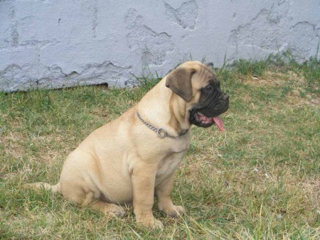 13 hetes, 16 kilogramm